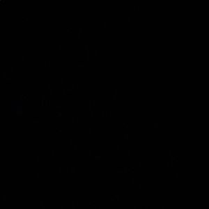 Meet your Posher, Samuel